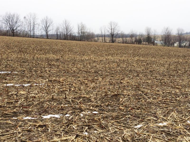 154 Acres Farmland Near Corning Ny : Campbell : Steuben County : New York
