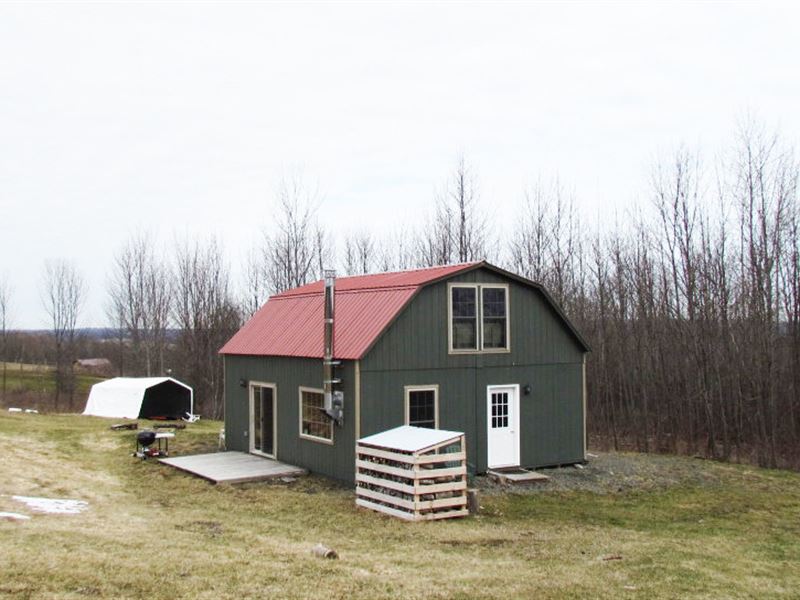 22 Ac Cabin Pond Near State Forest : Virgil : Cortland County : New York