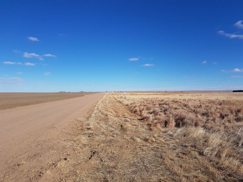 Logan County Expired Crp : Sterling : Logan County : Colorado