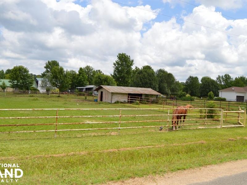 Byhalia Equestrian Acreage : Byhalia : Desoto County : Mississippi