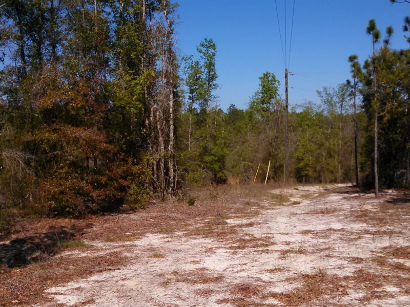 24 Acres in Ft White : Fort White : Columbia County : Florida