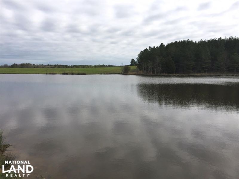 Old Cattle Farm with Timber and Lak : Louin : Jasper County : Mississippi