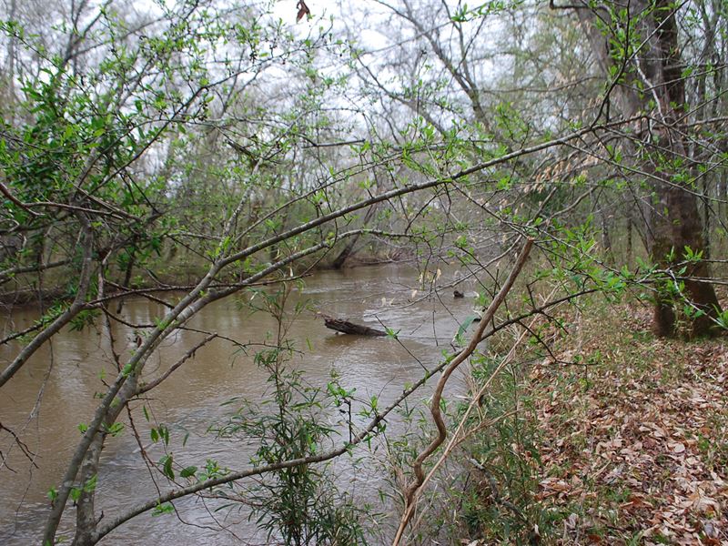 133 Acres Along Fairforest Creek : Jonesville : Union County : South Carolina