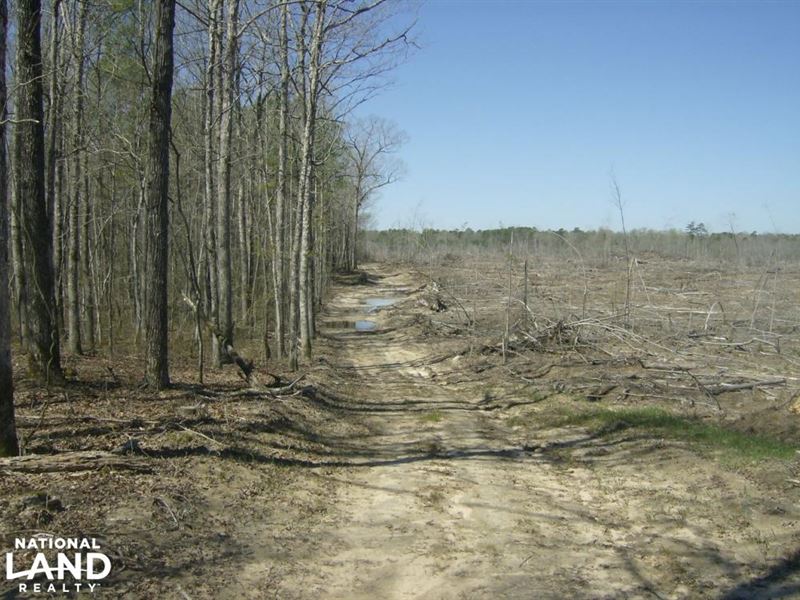 Cane Creek Timber and Hunting Tract : Little Rock : Pulaski County : Arkansas
