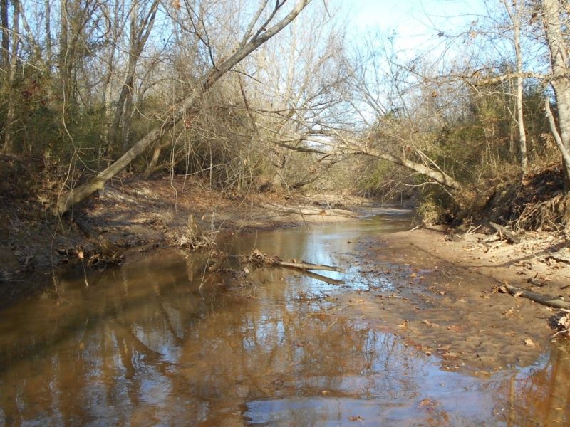 267.90 Acres in Montgomery County : Kilmichael : Montgomery County : Mississippi