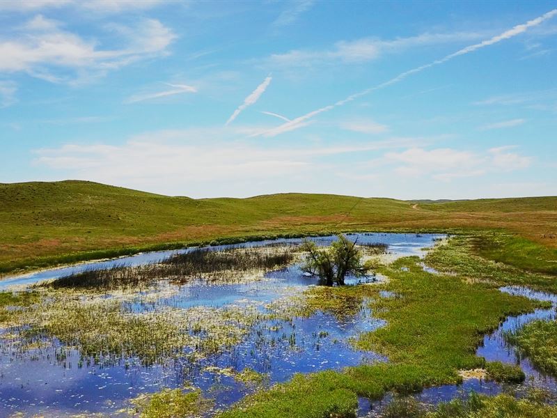 Ne Morrill County Sandhill Ranch : Alliance : Morrill County : Nebraska