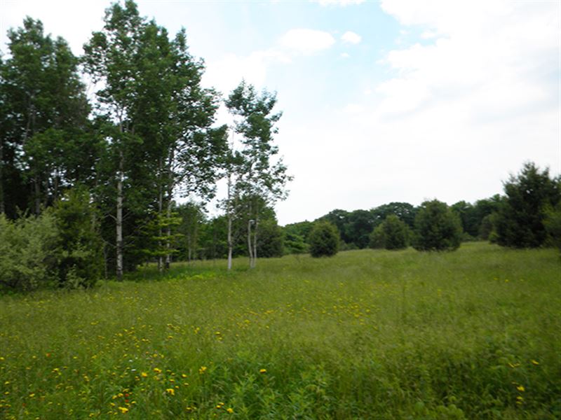 211 Acres Farmland Barn Cortland Ny : Lapeer : Cortland County : New York