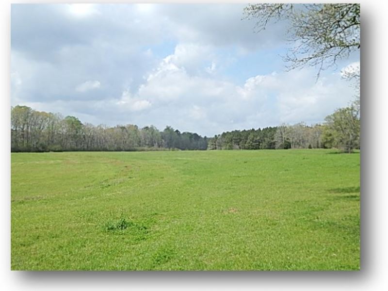 165 Acres in Leake County : Thomastown : Leake County : Mississippi