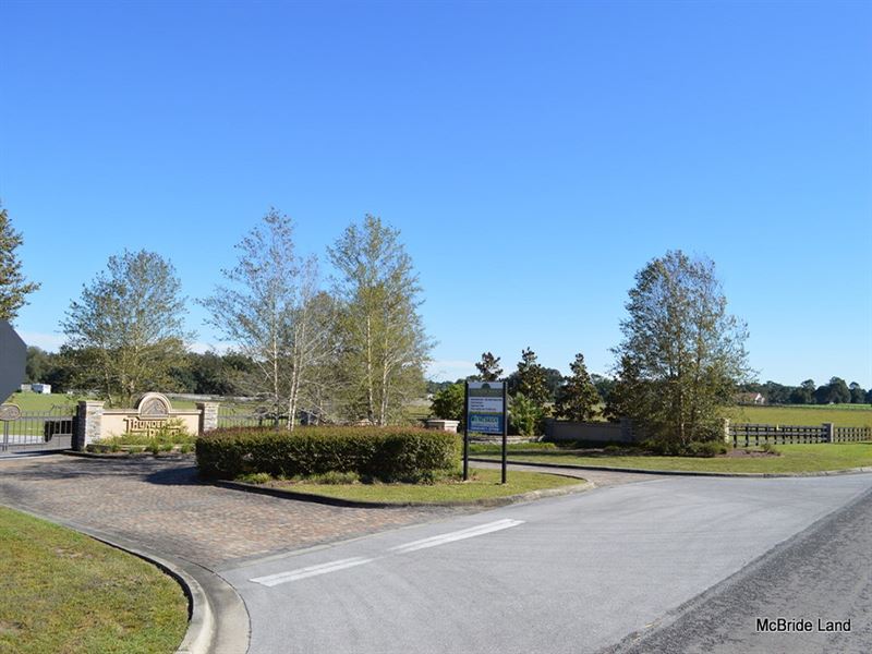 Thunder Ranch Equestrian Estates : Anthony : Marion County : Florida