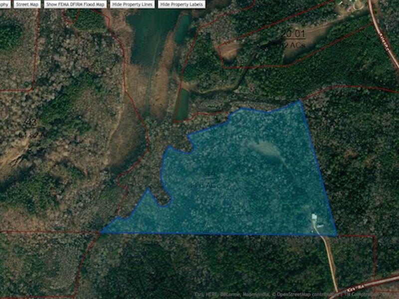 33 Acres with Lake Frontage : Huntingdon : Carroll County : Tennessee