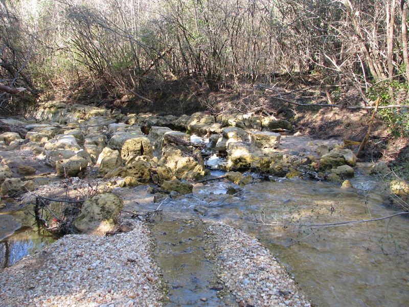 Bear Creek 164 : Frisco City : Monroe County : Alabama