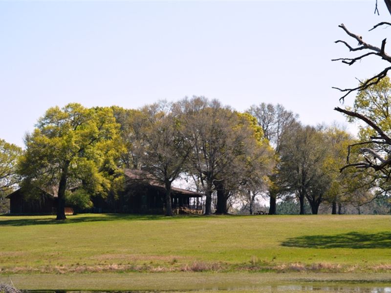 Golden Farm : Cedar Springs : Early County : Georgia