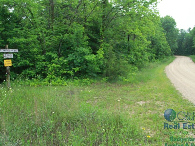 Wooded Lots Near Grant River : Waterloo : Grant County : Wisconsin