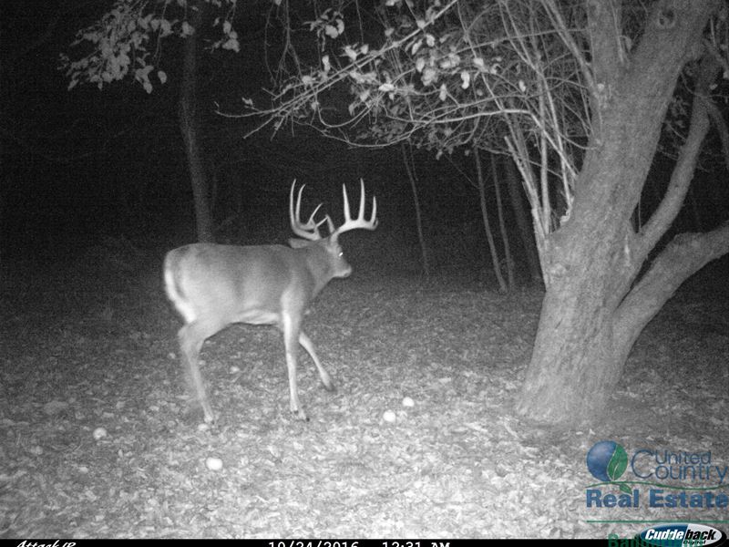 Charming Country Home with Hunting : Prairie Du Chien : Crawford County : Wisconsin
