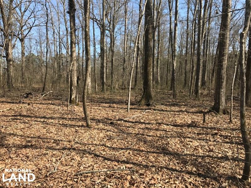 Houlka Opportunity : Houlka : Calhoun County : Mississippi