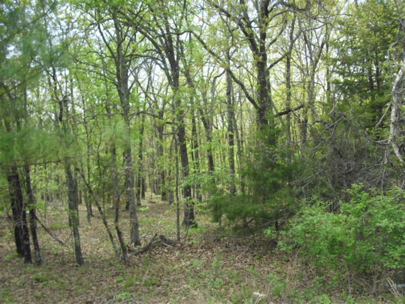 29.25 M/L Acres : Tahlequah : Cherokee County : Oklahoma