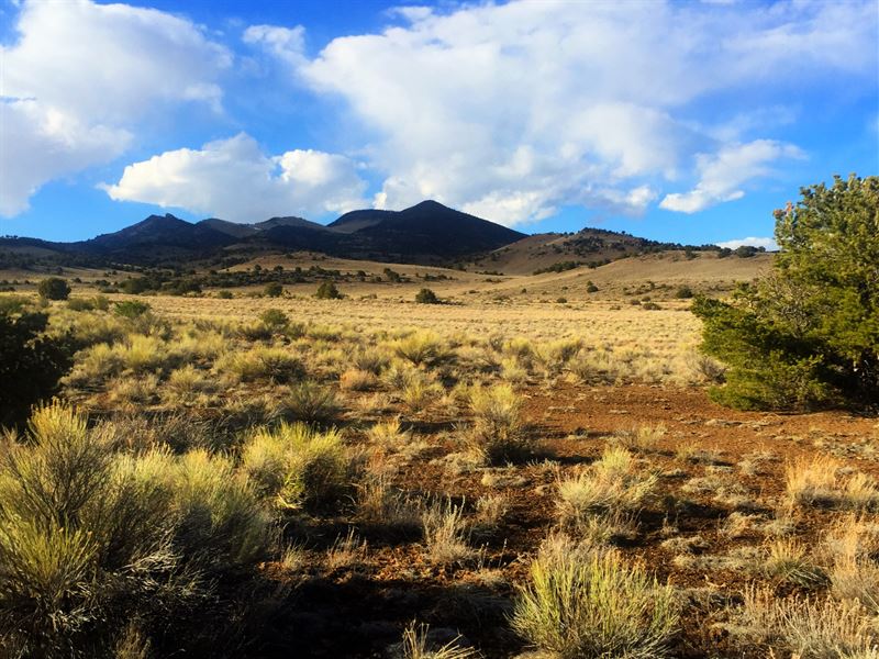 5/25 Auction Ten 40 Acre Homesites : Del Norte : Rio Grande County : Colorado