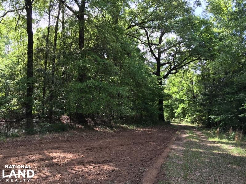 Jackson Homesite Hunting and Recrea : Jackson : Clarke County : Alabama