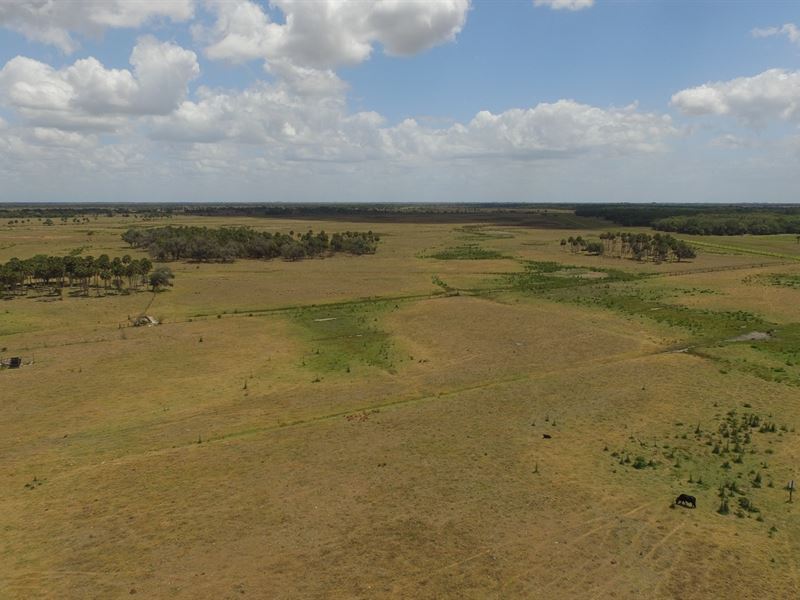 500+/ Acre Ranch For Sale Ranch for Sale in Okeechobee, Okeechobee
