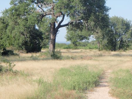 Canyon Ridge Ranch : Goldthwaite : Mills County : Texas