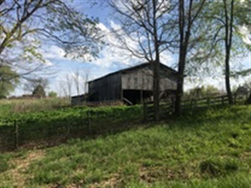 51 Acres in Metcalfe County, Ky : Edmonton : Metcalfe County : Kentucky