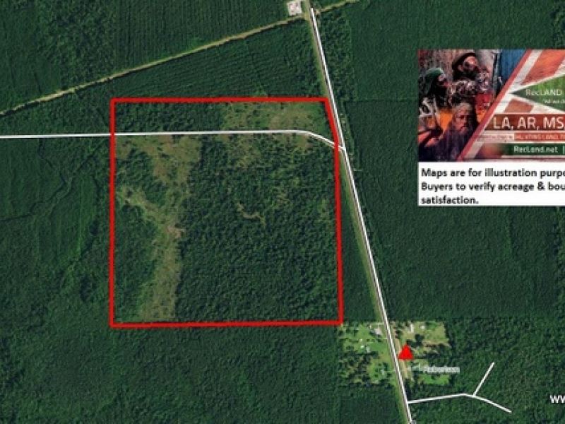 162 Ac Hunting & Timber Tract : Buna : Jasper County : Texas