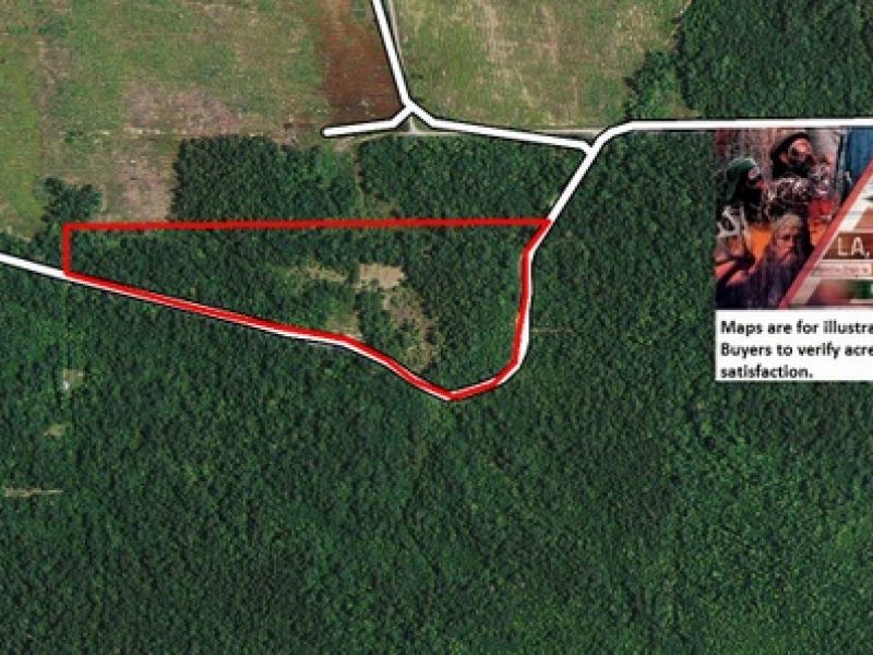 13.5 Ac Wooded Tract for Rural Hom : Buna : Newton County : Texas