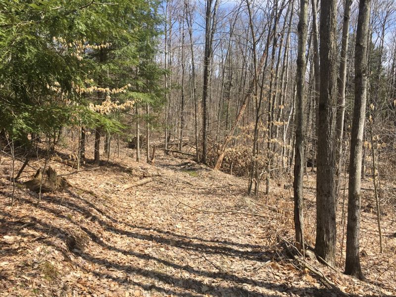 10 Acre Lot Near Binghamton Ny, Ranch for Sale in New York, 123489