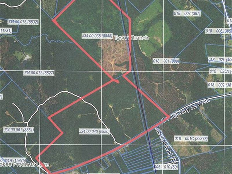 Prime Hunting Acres for Lease : Haddock : Jones County : Georgia