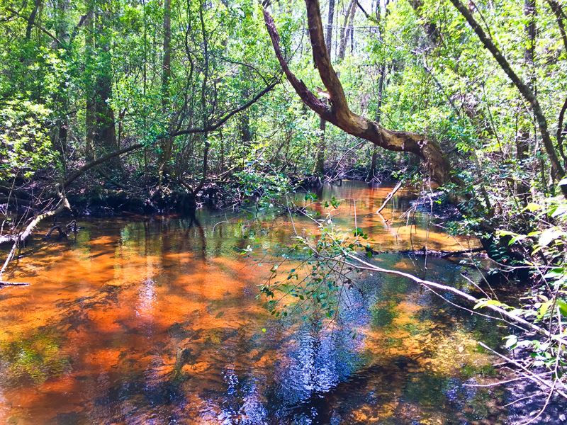 Reduced Great Creek and Hunting : Altha : Calhoun County : Florida