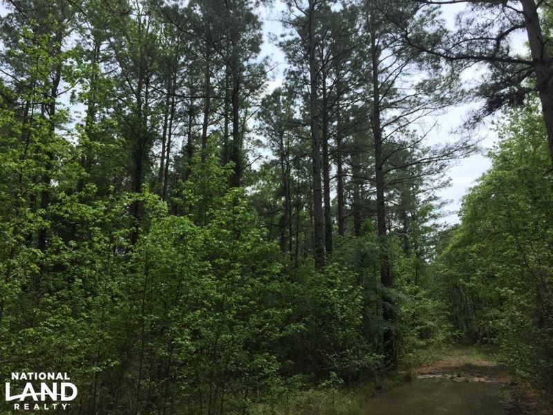 39 Acres Timberland : Norphlet : Union County : Arkansas
