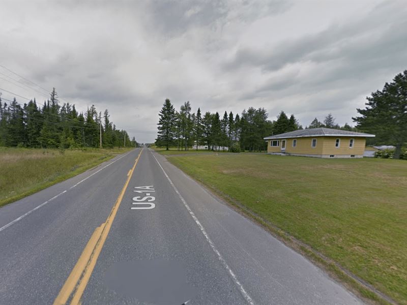 39.67 Acres in Limestone, ME : Limestone : Aroostook County : Maine