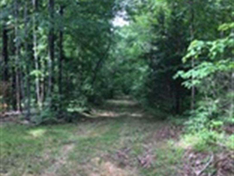 23 Wooded Acres in Adair County, Ky : Columbia : Adair County : Kentucky
