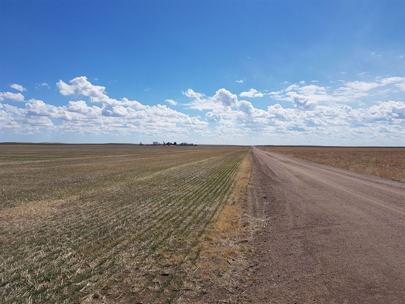 Disney Dryland : Lodgepole : Cheyenne County : Nebraska