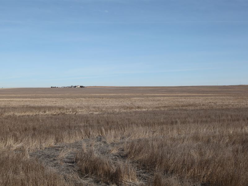 Dickson Trust Dryland : Wray : Yuma County : Colorado