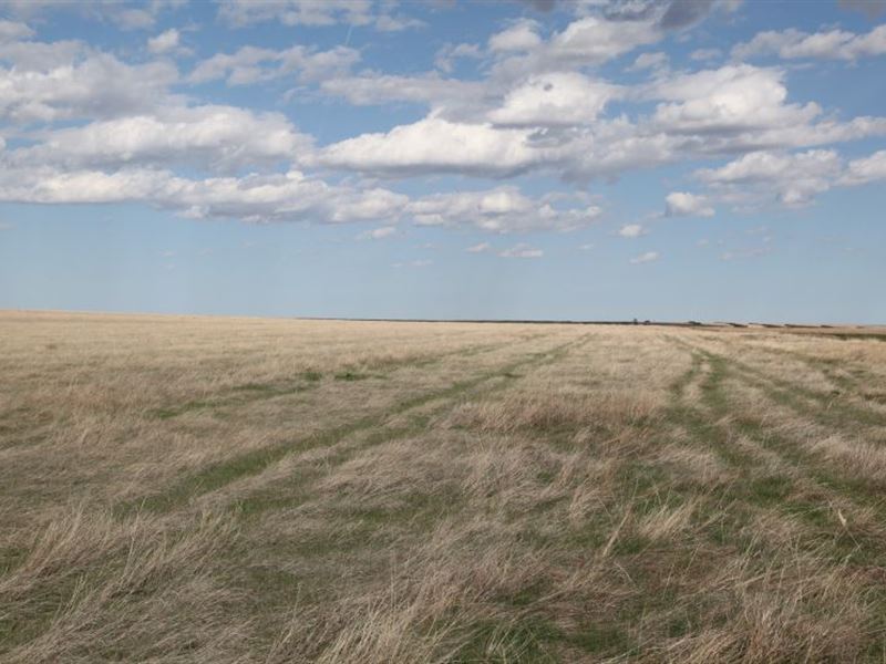 320 Ac Expired Crp : Haxtun : Phillips County : Colorado