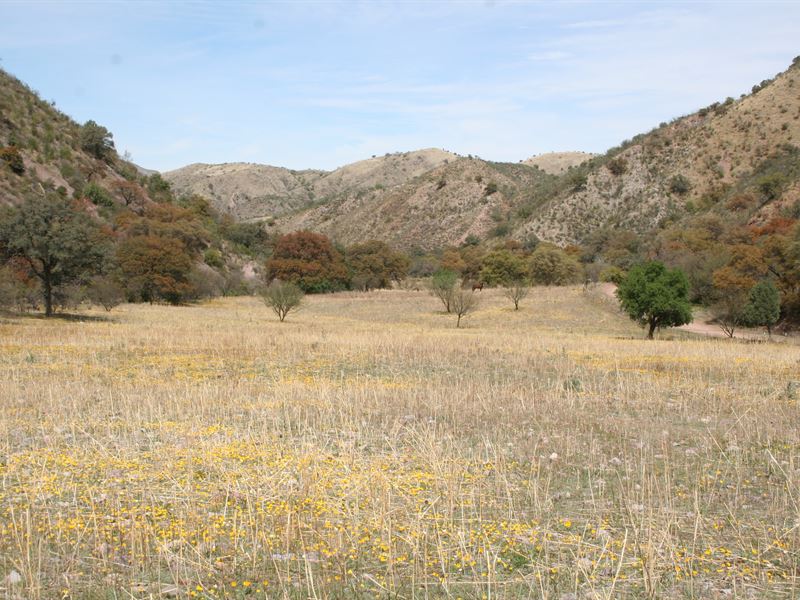 Beautiful Las Avispas Ranch, Mexico : Nogales : Mexico