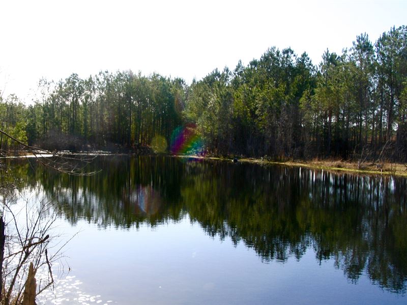Cgs Farm in Perry, Fl : Perry : Taylor County : Florida