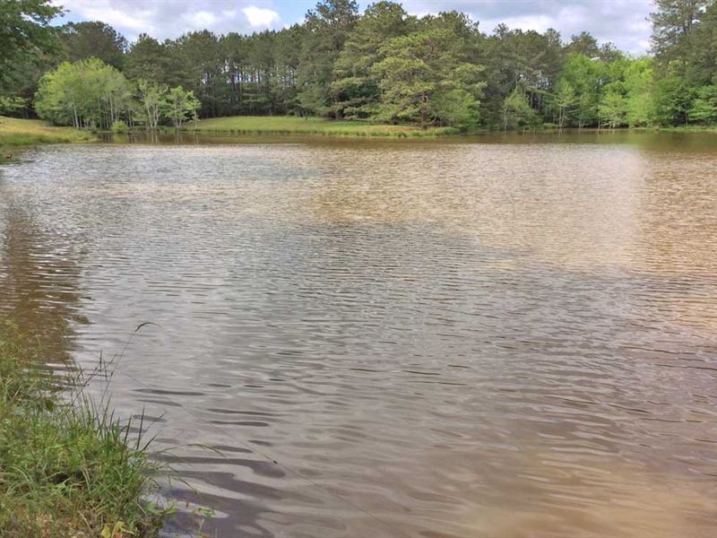 McLeod Road Tract : Goshen : Crenshaw County : Alabama