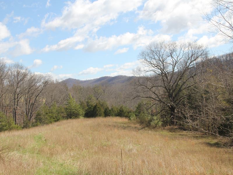 Woods, Fields, Streams, Views : Shipman : Nelson County : Virginia
