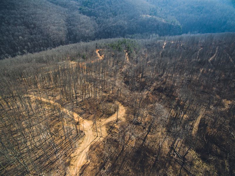 Wolfcreek Rd : Narrows : Giles County : Virginia