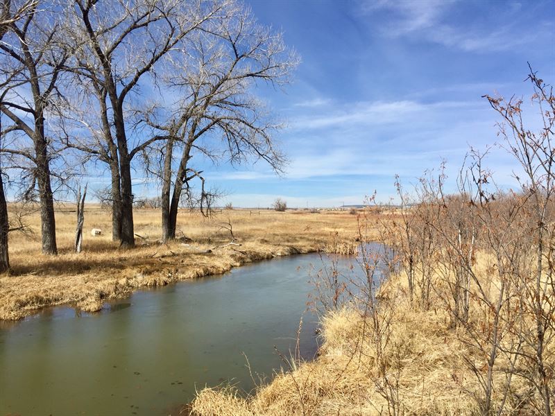 Coyote Crossing At Brackett Creek : Peyton : El Paso County : Colorado