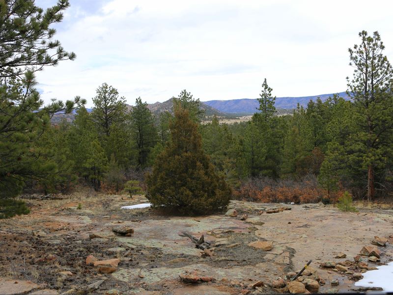Aspen Hollow : Westcliffe : Custer County : Colorado