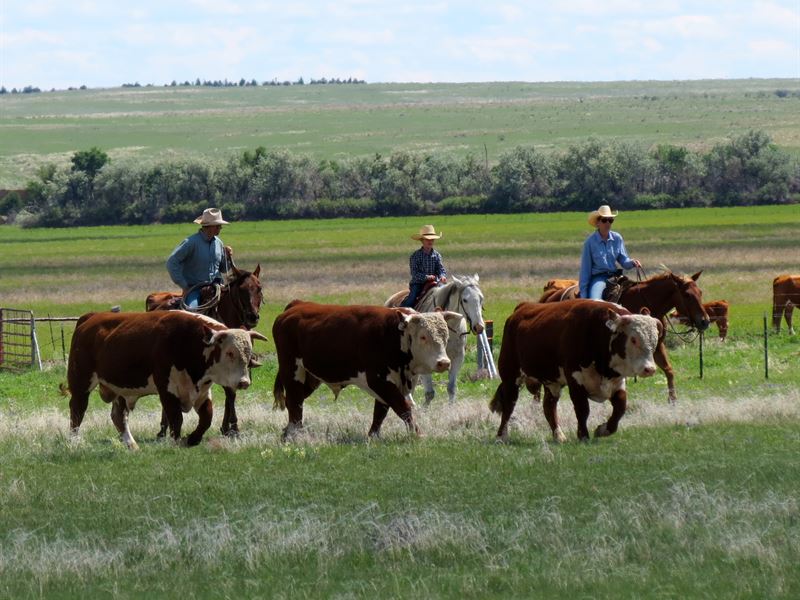 Turner Legacy Ranch : La Junta : Otero County : Colorado