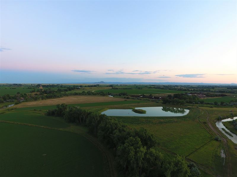 Belle River Farm : Vale : Butte County : South Dakota