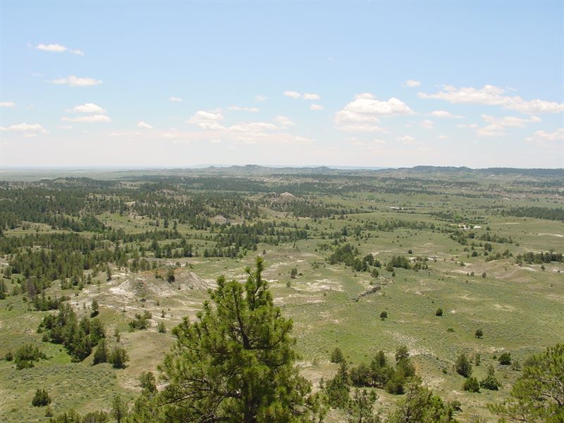 Lonetree Land and Livestock : Upton : Weston County : Wyoming
