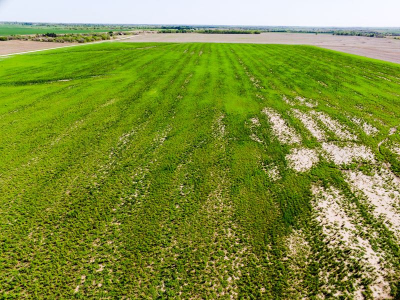 5/22 Auction Hunting Land W/ Creek : Nardin : Oklahoma County : Oklahoma