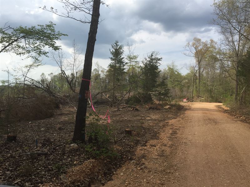 15 Acres, Harding Ar, Sharp County : Hardy : Sharp County : Arkansas