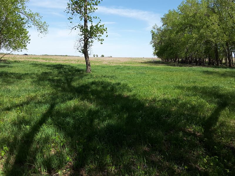 Thompson 80 : Roxbury : McPherson County : Kansas