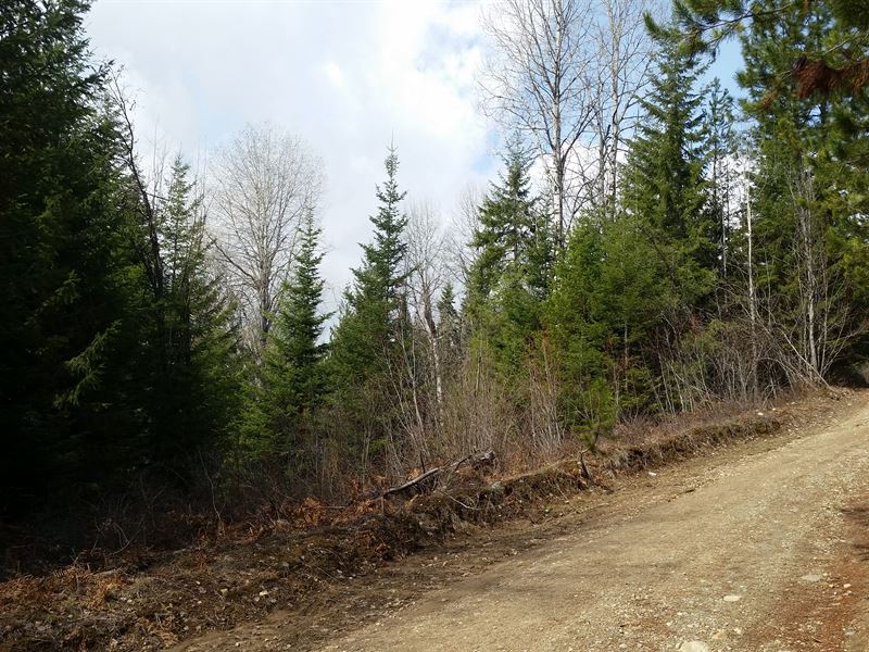 Off-Grid Opportunity : Priest River : Idaho County : Idaho